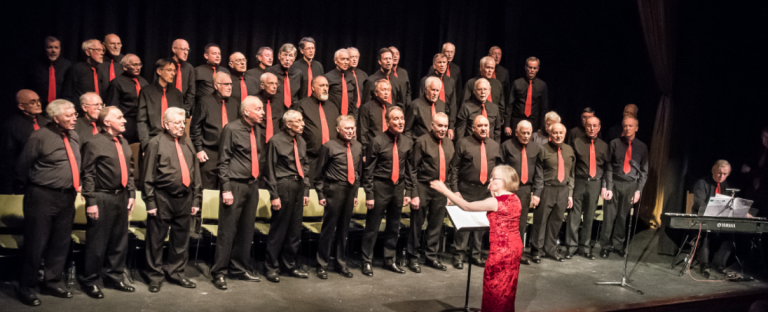 Spot the difference - is it a new Romsey Boy Band?